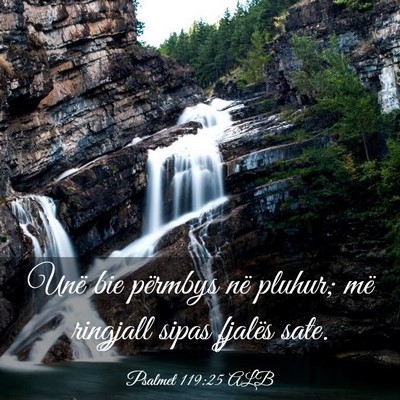 Picture 03 - Psalmet 119:25 ALB - Unë bie përmbys në pluhur; më ringjall sipas - Bible Verse Picture