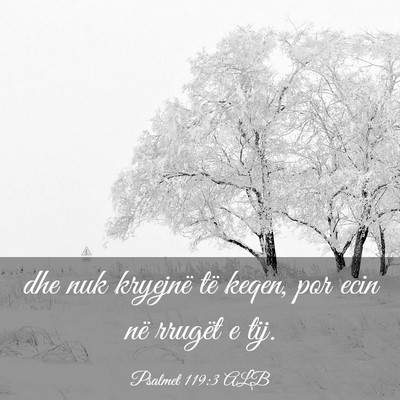 Picture 03 - Psalmet 119:3 ALB - dhe nuk kryejnë të keqen, por ecin në rrugët - Bible Verse Picture