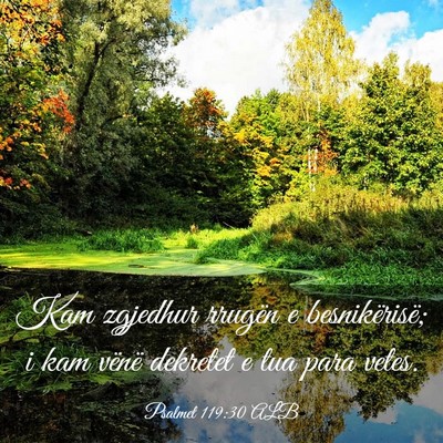 Picture 03 - Psalmet 119:30 ALB - Kam zgjedhur rrugën e besnikërisë; i kam - Bible Verse Picture