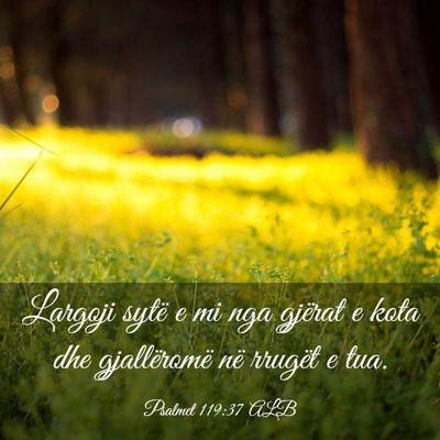 Picture 03 - Psalmet 119:37 ALB - Largoji sytë e mi nga gjërat e kota dhe - Bible Verse Picture