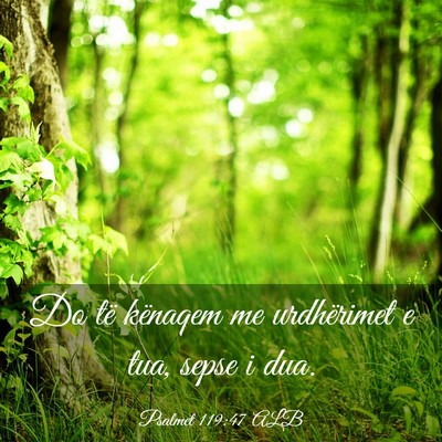 Picture 03 - Psalmet 119:47 ALB - Do të kënaqem me urdhërimet e tua, sepse i - Bible Verse Picture