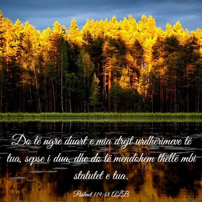 Picture 03 - Psalmet 119:48 ALB - Do të ngre duart e mia drejt urdhërimeve të - Bible Verse Picture