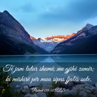 Picture 03 - Psalmet 119:58 ALB - Të jam lutur shumë, me gjihë zemër; ki - Bible Verse Picture
