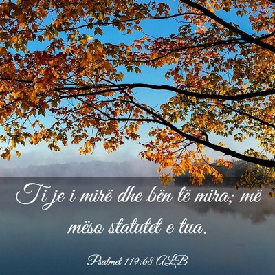 Picture 03 - Psalmet 119:68 ALB - Ti je i mirë dhe bën të mira; më mëso - Bible Verse Picture
