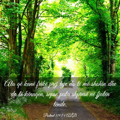 Picture 03 - Psalmet 119:74 ALB - Ata që kanë frikë prej teje do të më shohin - Bible Verse Picture