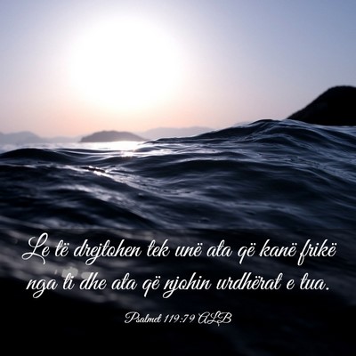 Picture 03 - Psalmet 119:79 ALB - Le të drejtohen tek unë ata që kanë frikë - Bible Verse Picture
