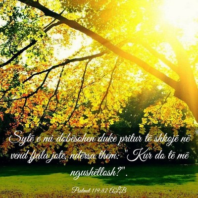 Picture 03 - Psalmet 119:82 ALB - Sytë e mi dobësohen duke pritur të shkojë në - Bible Verse Picture