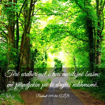 Picture 03 - Psalmet 119:86 ALB - Tërë urdhërimet e tua meritojnë besim; më - Bible Verse Picture