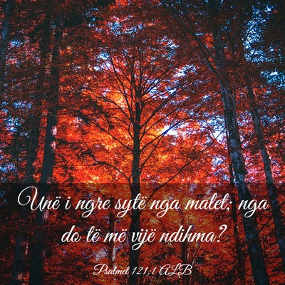 Picture 03 - Psalmet 121:1 ALB - Unë i ngre sytë nga malet; nga do të më vijë - Bible Verse Picture