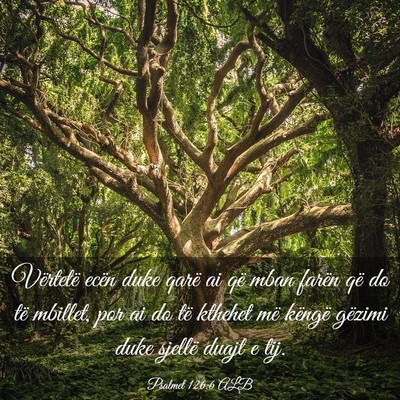 Picture 03 - Psalmet 126:6 ALB - Vërtetë ecën duke qarë ai që mban farën që - Bible Verse Picture