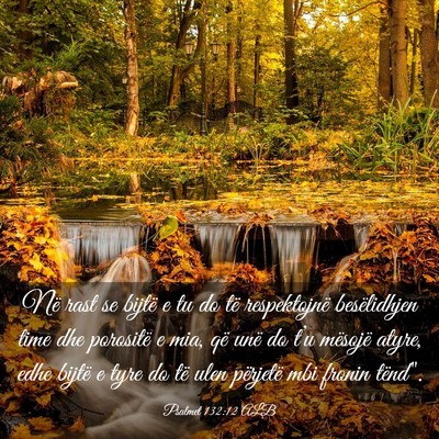 Picture 03 - Psalmet 132:12 ALB - Në rast se bijtë e tu do të respektojnë - Bible Verse Picture