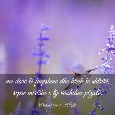 Picture 03 - Psalmet 136:12 ALB - me dorë të fuqishme dhe krah të shtrirë, - Bible Verse Picture