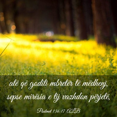 Picture 03 - Psalmet 136:17 ALB - atë që goditi mbretër të mëdhenj, sepse - Bible Verse Picture