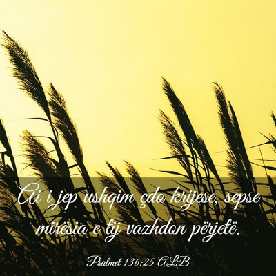 Picture 03 - Psalmet 136:25 ALB - Ai i jep ushqim çdo krijese, sepse mirësia e - Bible Verse Picture