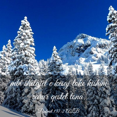 Picture 03 - Psalmet 137:2 ALB - mbi shelgjet e kësaj toke kishim varur qestet - Bible Verse Picture