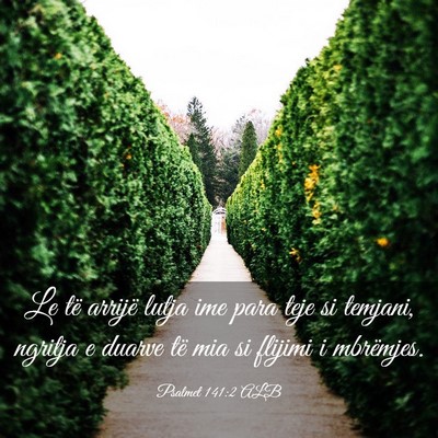 Picture 03 - Psalmet 141:2 ALB - Le të arrijë lutja ime para teje si temjani, - Bible Verse Picture