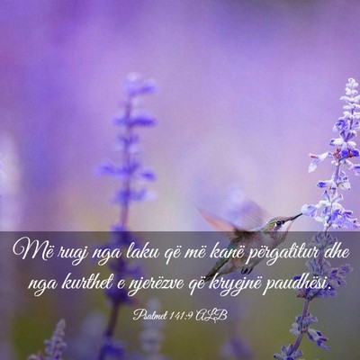 Picture 03 - Psalmet 141:9 ALB - Më ruaj nga laku që më kanë përgatitur dhe - Bible Verse Picture