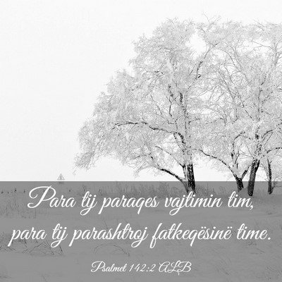 Picture 03 - Psalmet 142:2 ALB - Para tij paraqes vajtimin tim, para tij - Bible Verse Picture