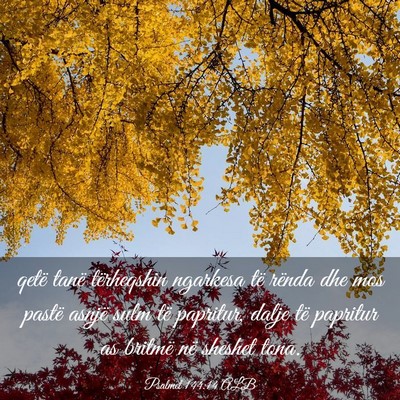 Picture 03 - Psalmet 144:14 ALB - qetë tanë tërheqshin ngarkesa të rënda dhe - Bible Verse Picture