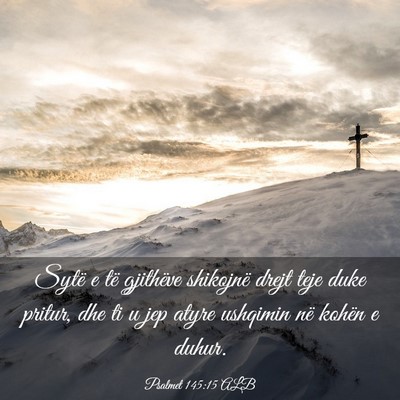 Picture 03 - Psalmet 145:15 ALB - Sytë e të gjithëve shikojnë drejt teje duke - Bible Verse Picture