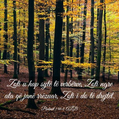 Picture 03 - Psalmet 146:8 ALB - Zoti u hap sytë të verbërve, Zoti ngre ata që - Bible Verse Picture