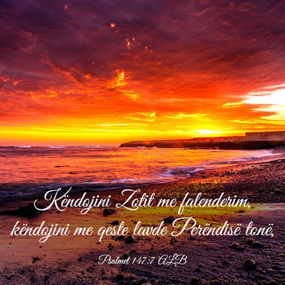 Picture 03 - Psalmet 147:7 ALB - Këndojini Zotit me falenderim, këndojini me - Bible Verse Picture