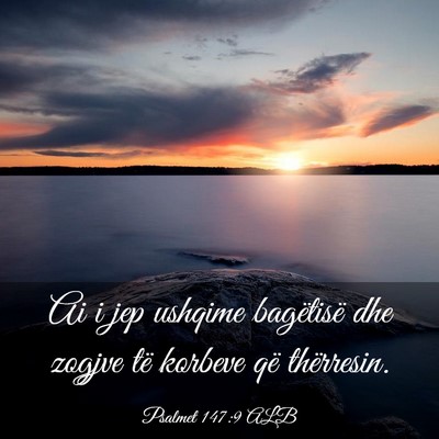 Picture 03 - Psalmet 147:9 ALB - Ai i jep ushqime bagëtisë dhe zogjve të - Bible Verse Picture
