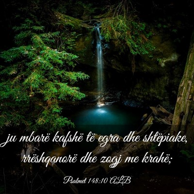 Picture 03 - Psalmet 148:10 ALB - ju mbarë kafshë të egra dhe shtëpiake, - Bible Verse Picture