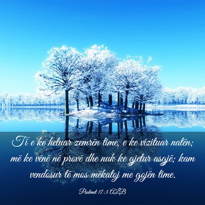 Picture 03 - Psalmet 17:3 ALB - Ti e ke hetuar zemrën time, e ke vizituar - Bible Verse Picture