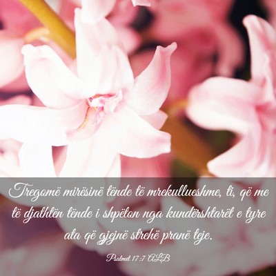 Picture 03 - Psalmet 17:7 ALB - Tregomë mirësinë tënde të mrekullueshme, ti, - Bible Verse Picture