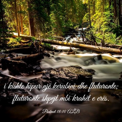 Picture 03 - Psalmet 18:10 ALB - i kishte hipur një kerubini dhe fluturonte; - Bible Verse Picture