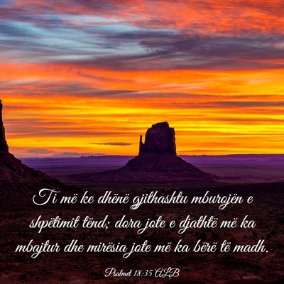 Picture 03 - Psalmet 18:35 ALB - Ti më ke dhënë gjithashtu mburojën e - Bible Verse Picture