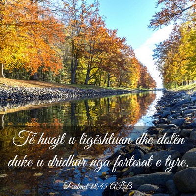 Picture 03 - Psalmet 18:45 ALB - Të huajt u ligështuan dhe dolën duke u dridhur - Bible Verse Picture