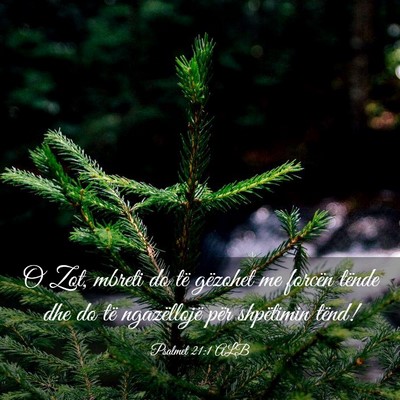 Picture 03 - Psalmet 21:1 ALB - O Zot, mbreti do të gëzohet me forcën tënde - Bible Verse Picture