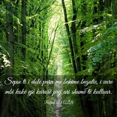 Picture 03 - Psalmet 21:3 ALB - Sepse ti i dole para me bekime begatie, i vure - Bible Verse Picture