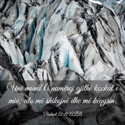 Picture 03 - Psalmet 22:17 ALB - Unë mund t’i numëroj gjithë kockat e mia; - Bible Verse Picture