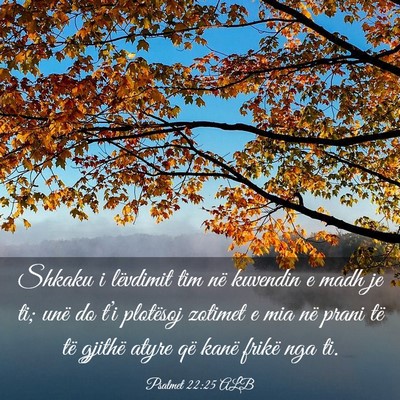 Picture 03 - Psalmet 22:25 ALB - Shkaku i lëvdimit tim në kuvendin e madh je ti; - Bible Verse Picture