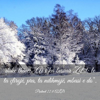 Picture 03 - Psalmet 22:8 ALB - duke thënë: 