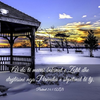 Picture 03 - Psalmet 24:5 ALB - Ai do të marrë bekimet e Zotit dhe drejtësinë - Bible Verse Picture
