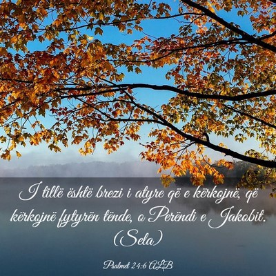 Picture 03 - Psalmet 24:6 ALB - I tillë është brezi i atyre që e kërkojnë, - Bible Verse Picture