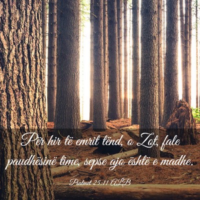 Picture 03 - Psalmet 25:11 ALB - Për hir të emrit tënd, o Zot, fale - Bible Verse Picture