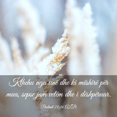 Picture 03 - Psalmet 25:16 ALB - Kthehu nga unë dhe ki mëshirë për mua, sepse - Bible Verse Picture