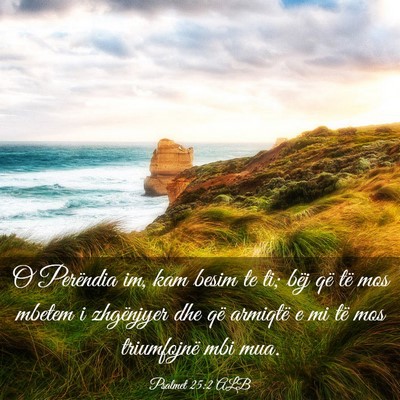 Picture 03 - Psalmet 25:2 ALB - O Perëndia im, kam besim te ti; bëj që të mos - Bible Verse Picture