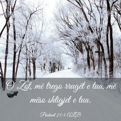Picture 03 - Psalmet 25:4 ALB - O Zot, më trego rrugët e tua, më mëso - Bible Verse Picture