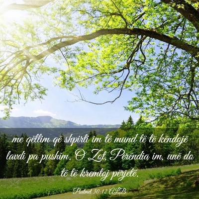 Picture 03 - Psalmet 30:12 ALB - me qëllim që shpirti im të mund të të - Bible Verse Picture