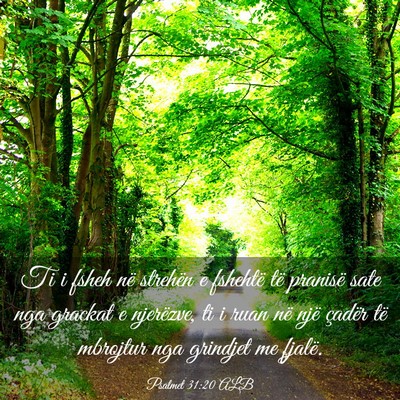 Picture 03 - Psalmet 31:20 ALB - Ti i fsheh në strehën e fshehtë të pranisë - Bible Verse Picture