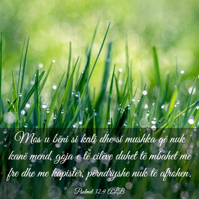 Picture 03 - Psalmet 32:9 ALB - Mos u bëni si kali dhe si mushka që nuk kanë - Bible Verse Picture