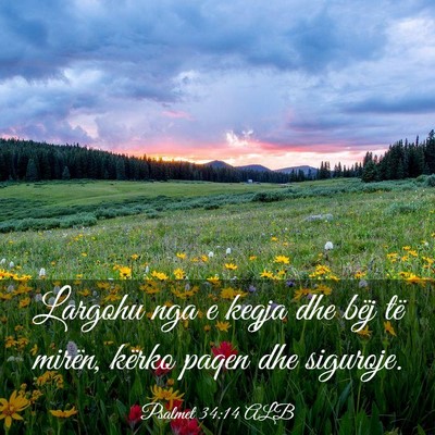 Picture 03 - Psalmet 34:14 ALB - Largohu nga e keqja dhe bëj të mirën, kërko - Bible Verse Picture