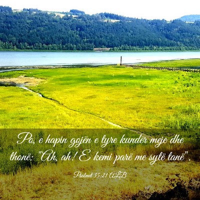 Picture 03 - Psalmet 35:21 ALB - Po, e hapin gojën e tyre kundër meje dhe - Bible Verse Picture