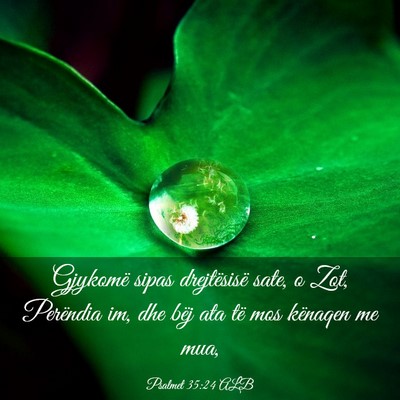 Picture 03 - Psalmet 35:24 ALB - Gjykomë sipas drejtësisë sate, o Zot, - Bible Verse Picture